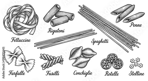 Pasta collection with spaghetti fettuccine and penne set