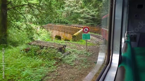 View from Alishan Forest Railway Train Window Through Mountain Forest in Taiwan