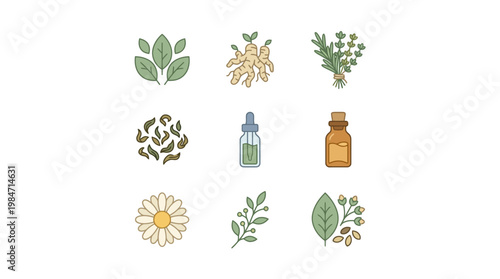 Herbal medicine icons show plants, ginger, herbs, bottles, and flowers for health and wellness products online.