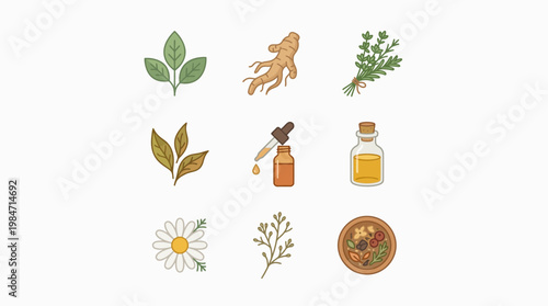 Herbal medicine ingredients and natural remedies displayed on a clean white background with leaves.