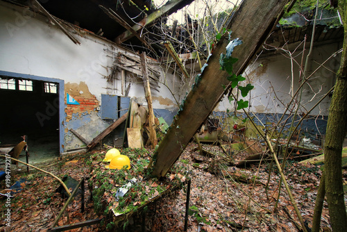 Collapsed abandoned building interior overtaken by trees and vegetation
