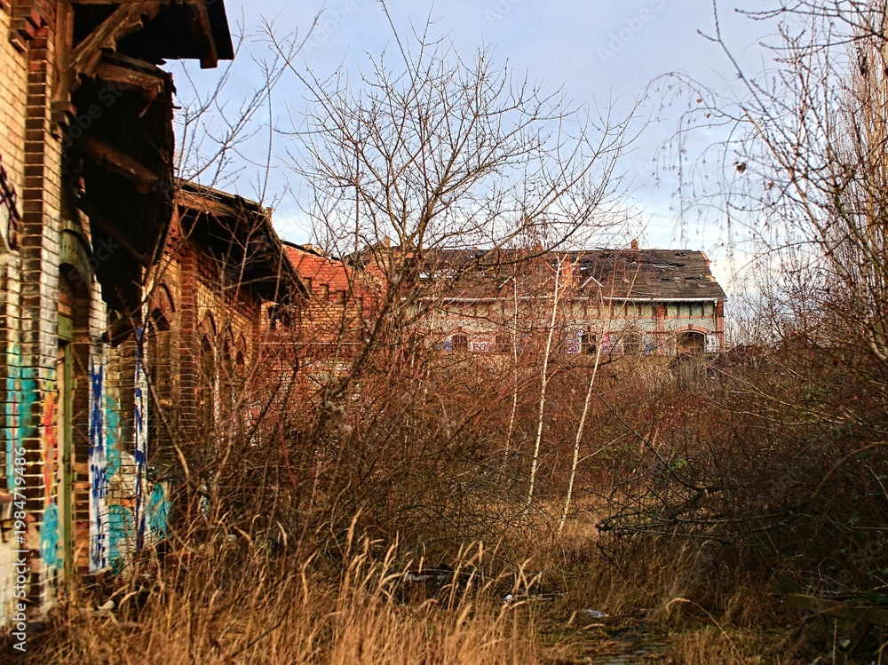Fototapeta premium Abandoned industrial buildings surrounded by overgrown vegetation and bare trees