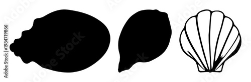 Seashell set with black silhouette illustration featuring bivalve, clam, scallop with mollusk and marine life
