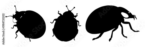 Ladybug silhouette set with a black outline shape featuring a beetle, insect, bug with a symmetrical view and simple graphic design