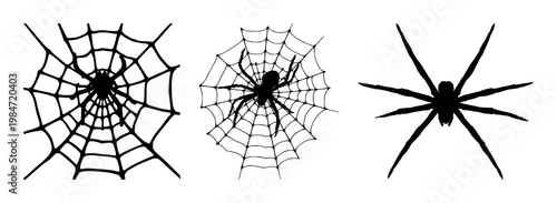 Spider web set with black silhouette of a spider web on crisp white background featuring web, pattern, texture with line and outline