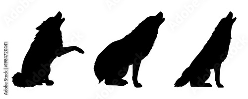 Wolf set with silhouette on white background featuring howling, black line art, illustration with wolf and nature with forest and wilderness