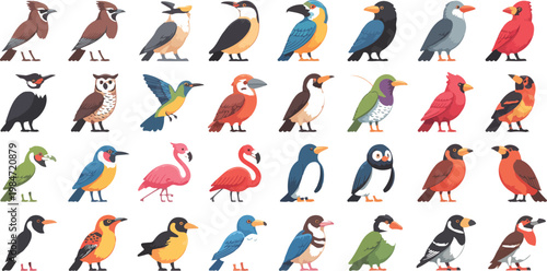 Big set of colorful birds with flying wildlife characters, exotic fauna collection featuring woodpecker, flamingo and goose vector illustration