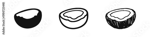 Coconut icon set in three styles silhouette outline and hand drawn sketch isolated on white background
