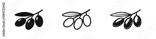 Olive Branch with Olives Icon Set in Three Graphic Styles