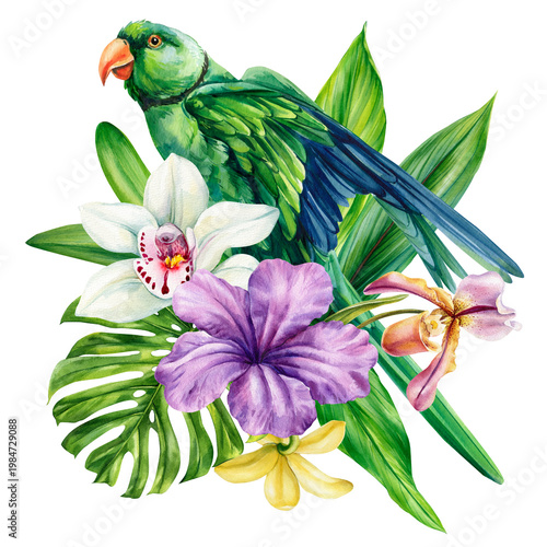 Tableau sur toile green parakeet watercolor clipart with orchid flowers and tropical leaves isolat