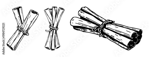 Cinnamon sticks set with rough sketchy art style featuring spices, food ingredients, seasoning with aromatic and natural elements