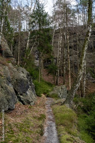 Wanderung auf dem Großen Reitsteig in der Sächsischen Schweiz 4