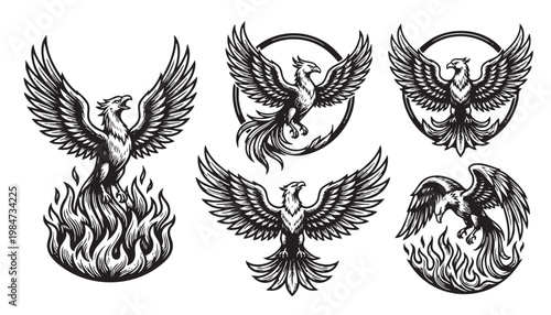 Set of 4 majestic black and white phoenix vector illustrations. Mythical fire birds rising from flames in a detailed vintage engraving style.