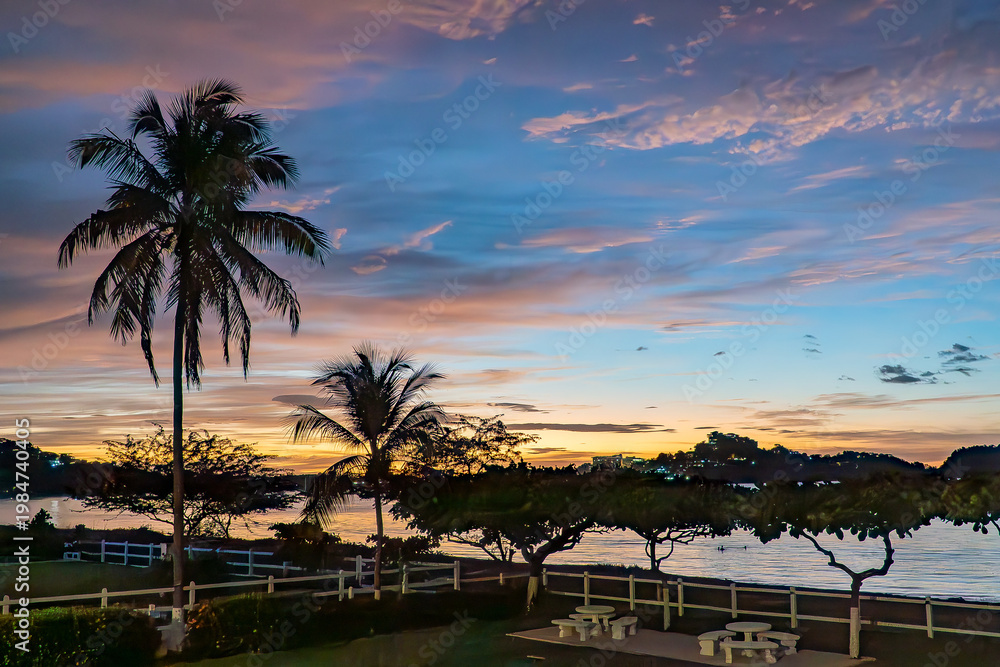 Obraz premium Late evening tropical sunset with palm trees blowing in the wind amazing golden hour Costa Rica Latin America. 