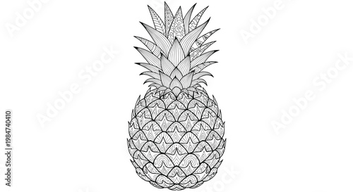 Intricate black and white cross-hatched illustration of a ripe pineapple showcasing textured spiky leaves and a patterned exterior on a neutral surface.