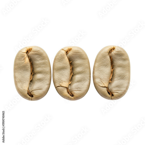 Three individual raw green unroasted coffee beans arranged in a neat horizontal line formation