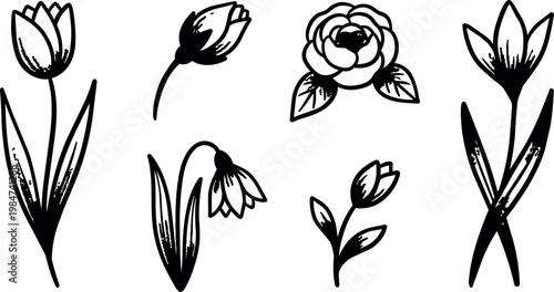 Spring flowers tulip rose and snowdrop set