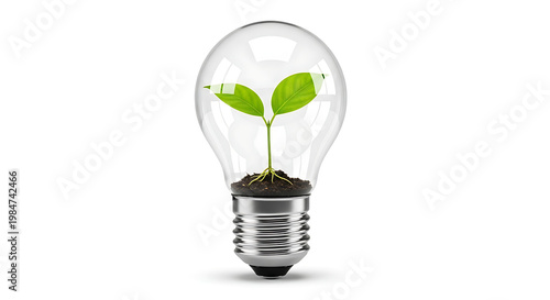 Light bulb with young plant growing inside seedling innovation environment beginning technology electric business creativity inspiration sustainable minimalist