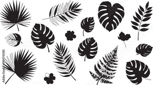 A striking collection of tropical monstera and palm leaves in a black and white botanical illustration