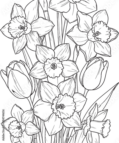 Delicate floral sketch a black and white illustration of blossoming flowers on a stem