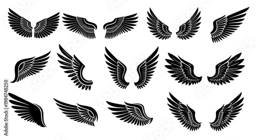 Bird feather wing icon set with monochrome line art, tattoo style, wings spread silhouette for logo and design backgrounds