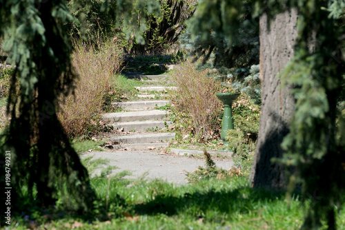 Hidden path awaits discovery in a serene garden oasis