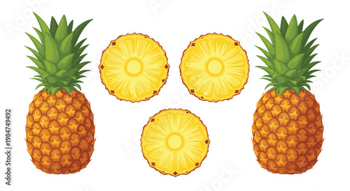 Fresh pineapple whole and slices vector illustration with realistic tropical fruit isolated on white background