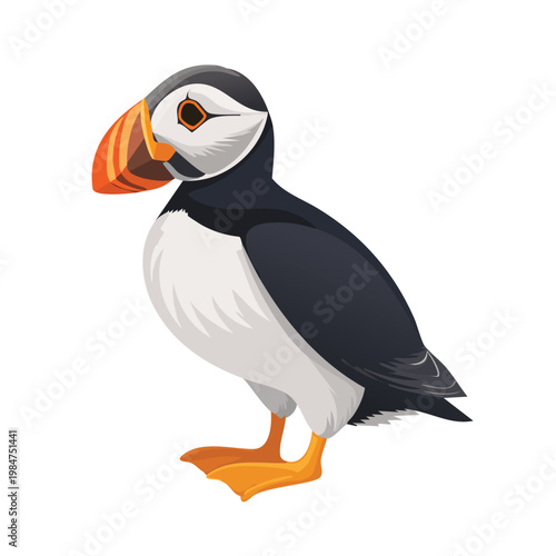 Colorful atlantic puffin bird illustration on white background isolated design