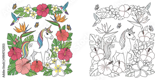 Magic Unicorn in Tropical Garden with Hummingbirds and Hibiscus Flowers Vector Illustration and Coloring Page for Kids