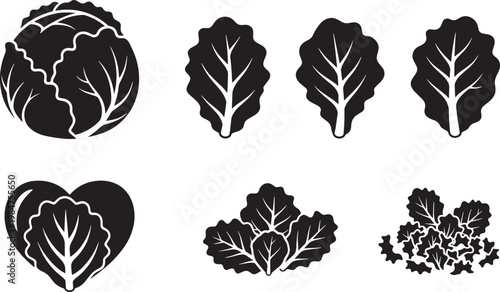 A black and white graphic illustration displays various cabbage icons.