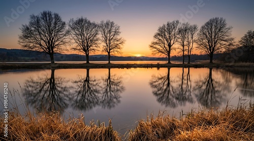 Wallpaper Mural Silhouettes of leafless trees reflected in calm water during a golden sunset over a tranquil landscape Torontodigital.ca
