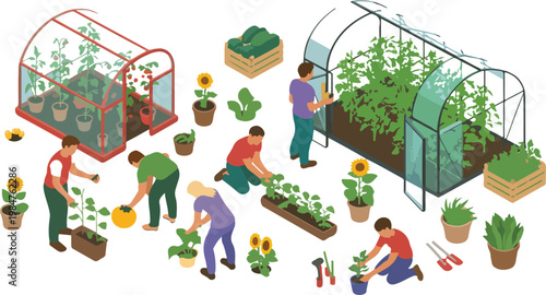 Isometric garden and farming plant set with greenhouse, pumpkin, tomato and pepper, organic harvest season outdoor activity vector illustration isolated