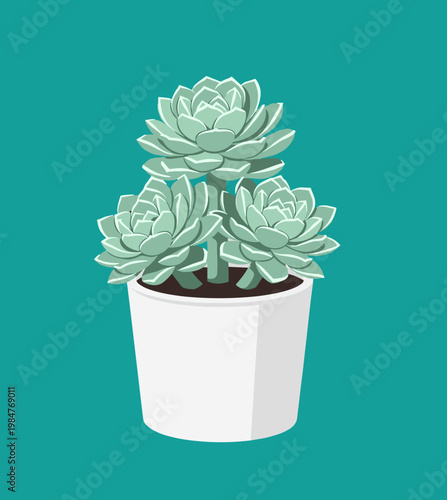 Green Echeveria Succulent Plant in White Pot Illustration, Indoor Houseplant for Home Office Decor and Botanical Garden Themes Vector Graphic