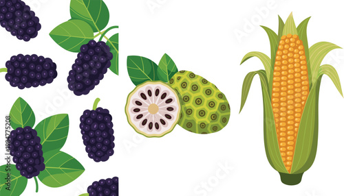 Tropical Fruit Icon Set Featuring Blackberry Custard Apple and Corn with Leaves in Detailed Botanical Style for Organic Food Illustration Collection