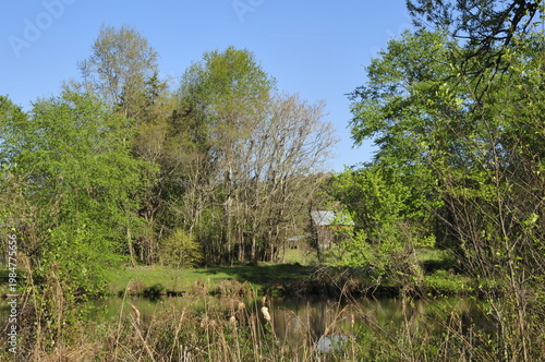 rural landscape in Virginia with trees, pond, barn