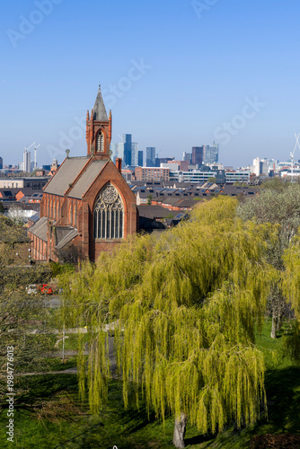 Willow Tree and Gothic Skyline In Downtown Manchester