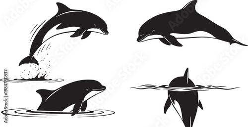Dolphin character set showing marine mammal jumping out of water and swimming through waves for ocean life conservation and nautical themed graphics for summer vacation branding art.