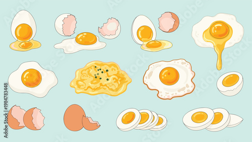 Collection of various egg preparations including fried eggs, hard-boiled slices, scrambled eggs, and empty eggshells.