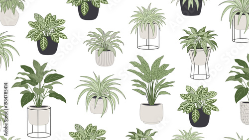 Beautiful indoor plant pattern showcases a variety of green houseplants in stylish pots and stands against a white background.