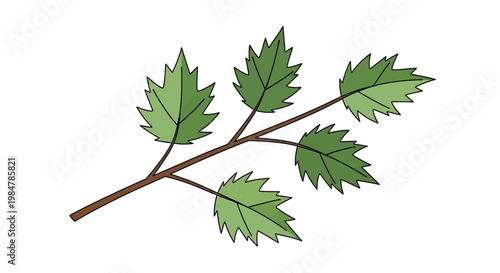 Green leaves on a branch, natural botanical element in flat design, vector illustration