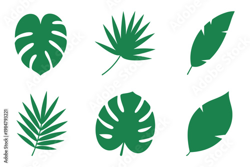 A collection of six distinct tropical leaves in varying shades of green