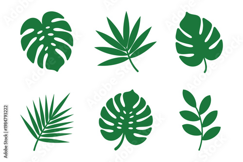 A collection of six vibrant green tropical leaves against a white background