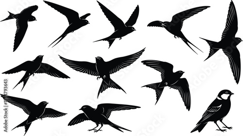 Swallow bird silhouettes vector illustration, flying and perched positions, forked tails, avian design elements, wildlife graphics, decorative black artwork, nature-inspired animal collection