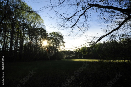 Sunrise over the hayfield