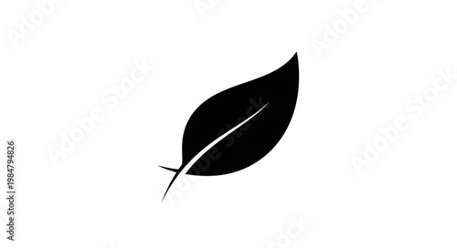 Konstfotografi Single Black Leaf Silhouette Simple Natural Icon Emblem.