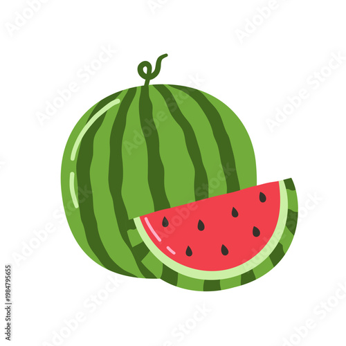 Watermelon whole and slice vector illustration 