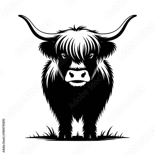 Vector illustration of a highland cow standing in grass
