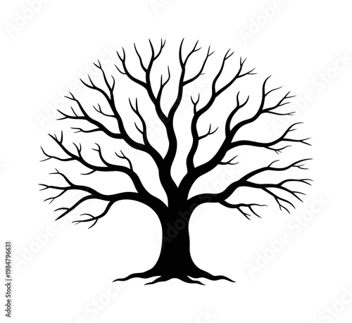 Vector of a bare tree with sprawling branches.