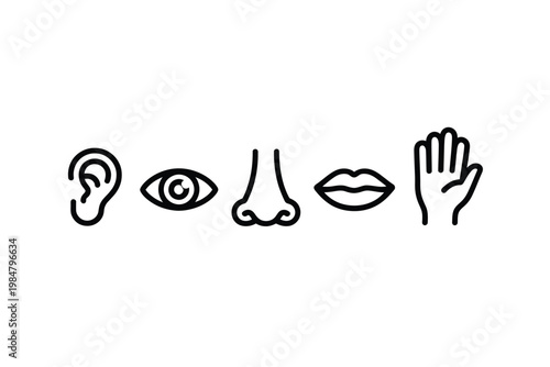 Line art illustration depicting the five human senses hearing sight smell taste and touch