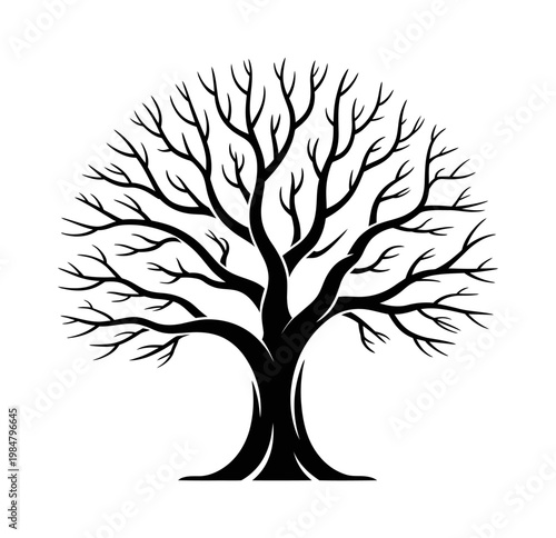 Vector of a bare tree with a unique double trunk